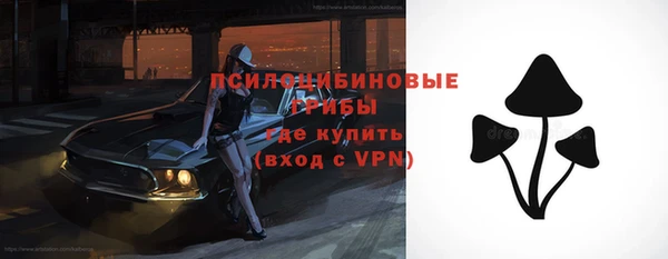 хмурый Алексеевка