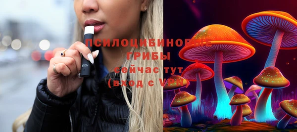 МДПВ Абдулино