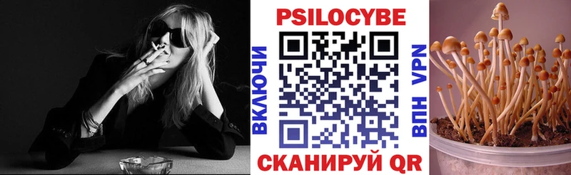 магазин продажи наркотиков  Елизаветинская  KRAKEN вход  Псилоцибиновые грибы прущие грибы 